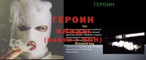 дмт Бородино