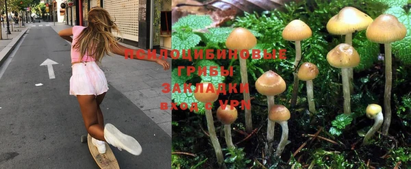 MESCALINE Покачи