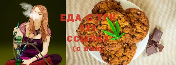 дмт Бородино