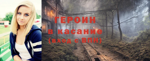 дмт Бородино