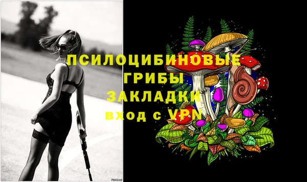 твердый Бронницы