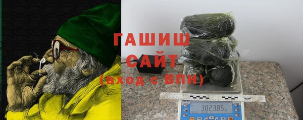дмт Бородино