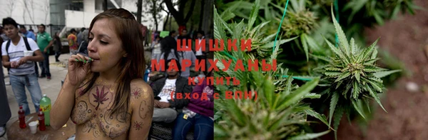 дмт Бородино