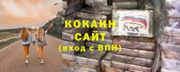 дмт Бородино