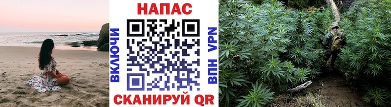 Бошки Шишки сатива  наркотики  Томск 